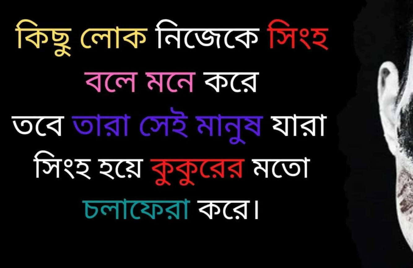 facebook status of attitude tomake chai lyrics in bengali, তোমাকে চাই লিরিক্স, Tomake Chai song lyrics in Bangla